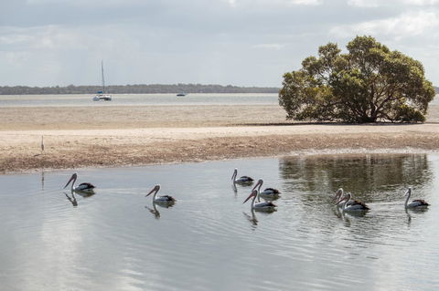 BIG4 Breeze Holiday Parks - Rainbow Beach - Accommodation Australia 32