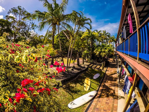 Cool Bananas Backpackers - Australia Shopping 17