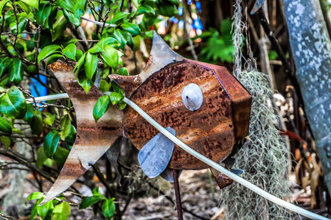 Cool Bananas Backpackers - Australia Shopping 24