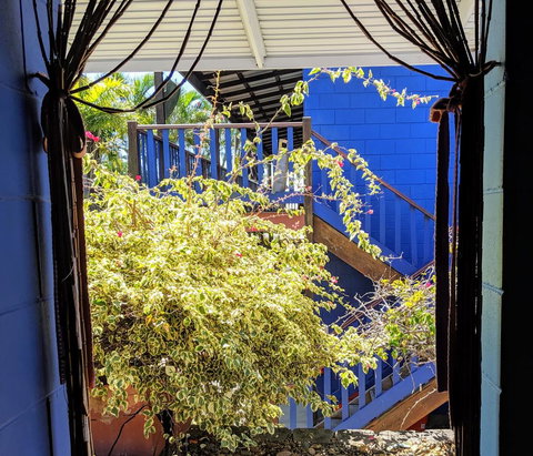 Cool Bananas Backpackers - Australia Shopping 10