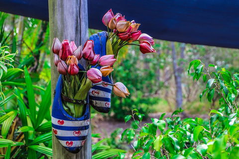 Cool Bananas Backpackers - Australia Shopping 26