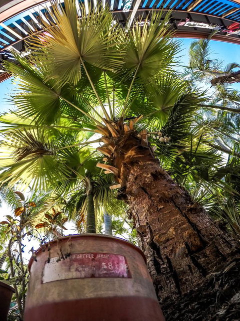 Cool Bananas Backpackers - Australia Shopping 14