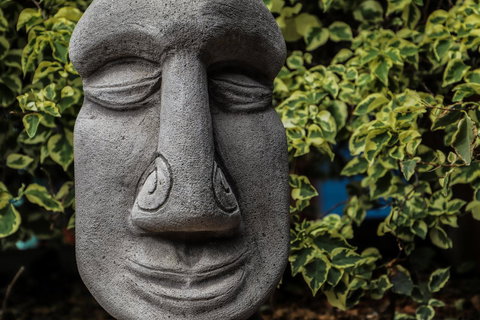 Cool Bananas Backpackers - Australia Shopping 23