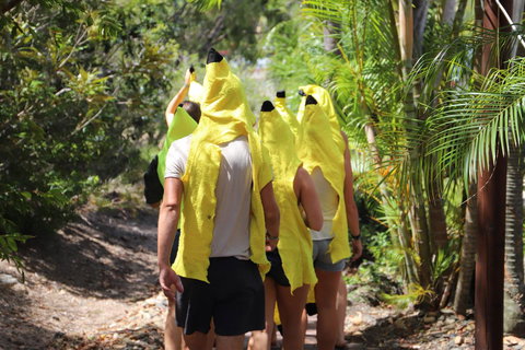 Cool Bananas Backpackers - Australia Shopping 19
