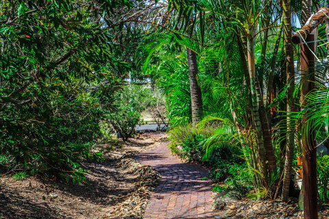 Cool Bananas Backpackers - Australia Shopping 15