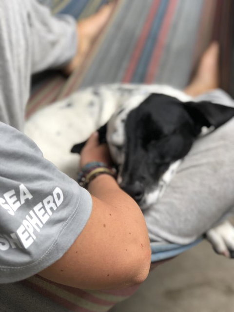 Backpackers At 1770 - Australia Shopping 15