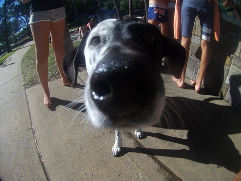 Backpackers At 1770 - Australia Shopping 2