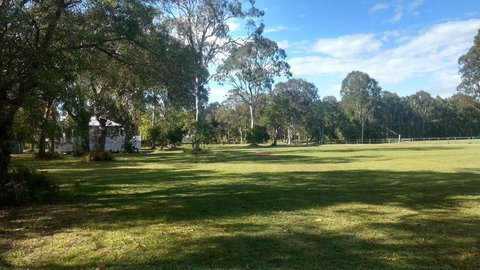 Lake Weyba Noosa Lodge & Kangaroos - Australia Shopping 32