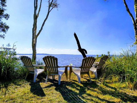 Lake Weyba Noosa Lodge & Kangaroos - Australia Shopping 44