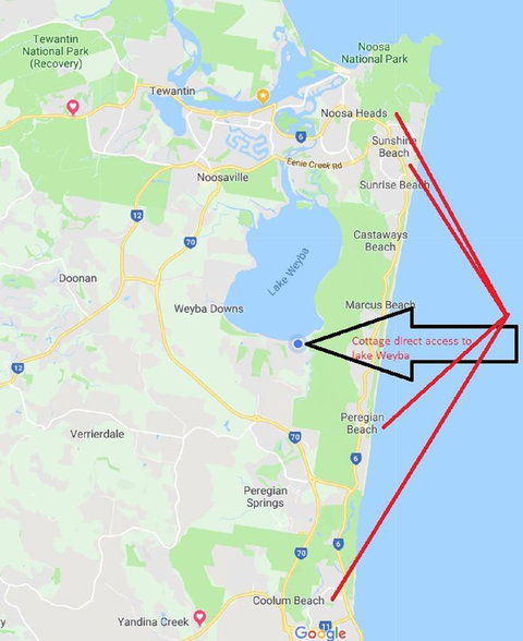 Lake Weyba Noosa Lodge & Kangaroos - Australia Shopping 25