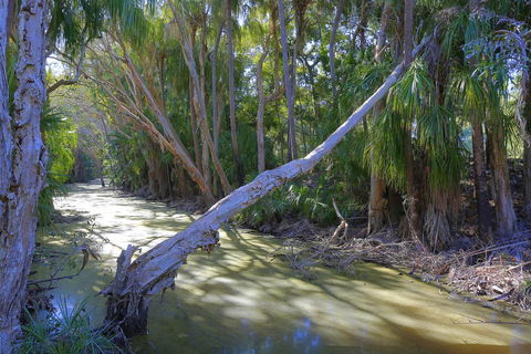 Sandcastles 1770 Motel & Resort - Australia Shopping 18