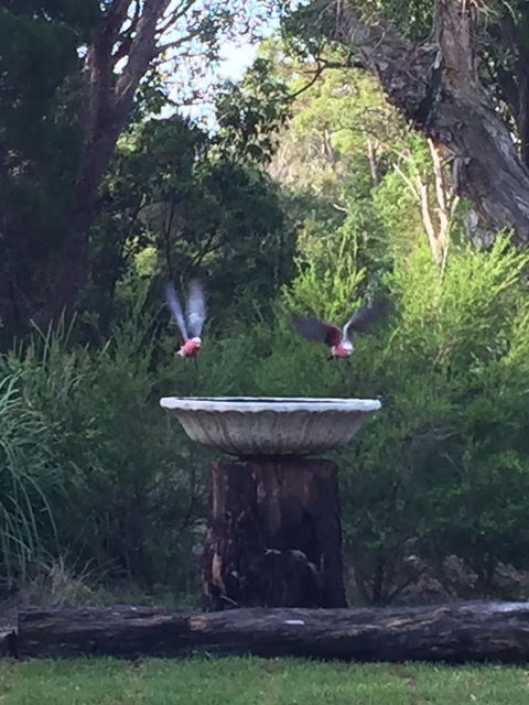Castaways Moreton Island - Accommodation Australia 8