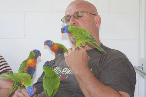 Amaroo On Mandalay, Magnetic Island - Accommodation Australia 33
