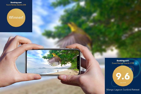 Mango Lagoon Sunbird Retreat - Accommodation Australia 1