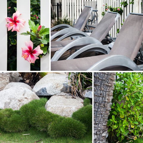 Coolum Caprice - Accommodation Australia 22