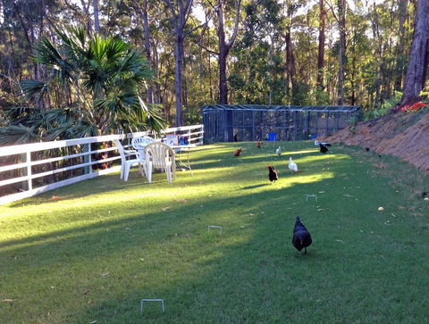 Noosa Hinterland Retreat - Accommodation Australia 11