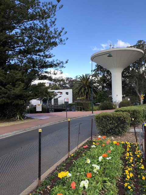 Picnic Point Villas - Local Tourism 5