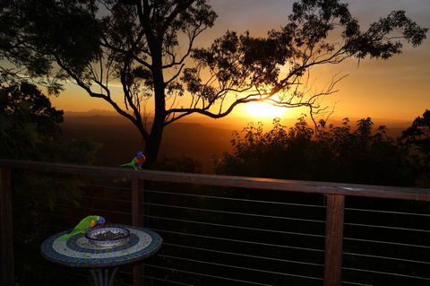 The Polish Place - Accommodation Australia 17