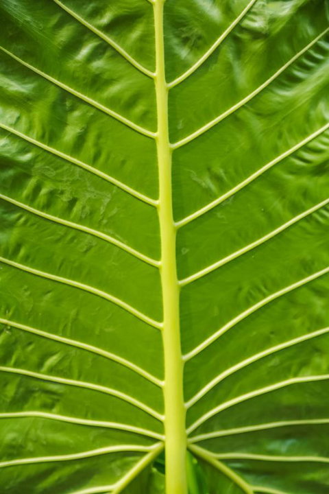 Port Douglas Motel - Local Tourism 24