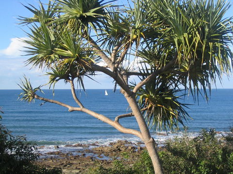 Headland Tropicana Resort - Accommodation Australia 39