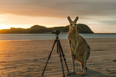 Riviera Mackay - Accommodation Australia 7
