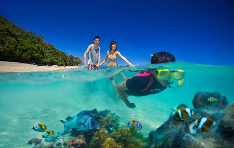 Fitzroy Island Resort - Accommodation Australia 22