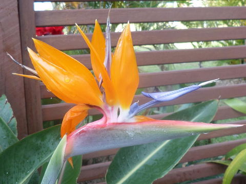 Gaia On Bribie Island - Accommodation Australia 38