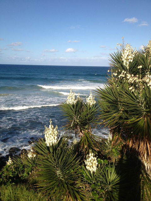 Oceania On Burleigh Beach - Accommodation Australia 23
