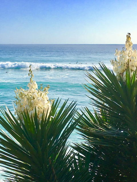 Oceania On Burleigh Beach - Accommodation Australia 21
