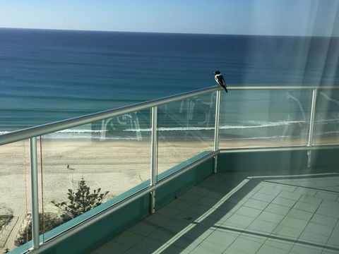 Ocean Plaza Resort - Local Tourism 28