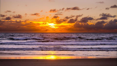 Kirra Surf Apartments - Local Tourism 27