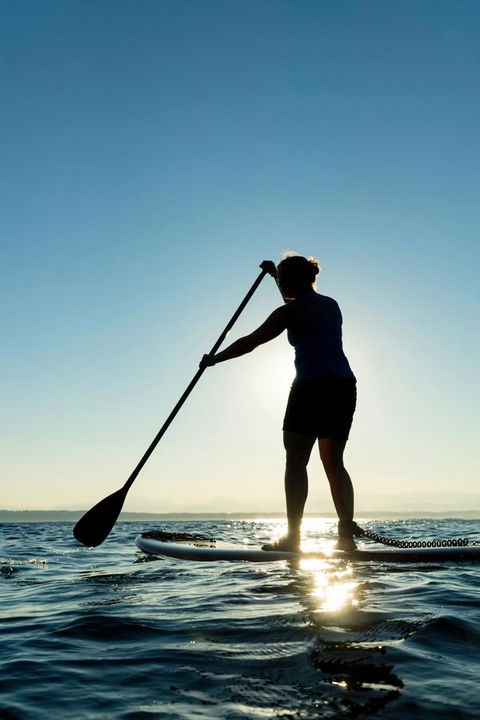 Kirra Surf Apartments - Local Tourism 16