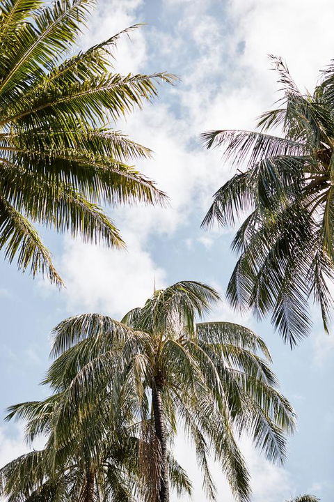 Novotel Cairns Oasis Resort - Australia Shopping 9