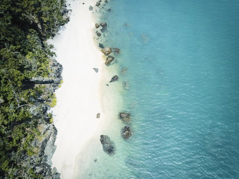 Daydream Island Resort - Accommodation Australia 41
