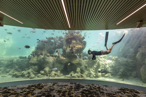 Daydream Island Resort - Accommodation Australia 28