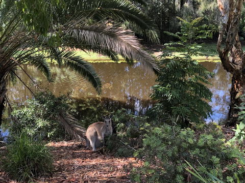Waterfront Resort Villa With Buggy - Accommodation Australia 25