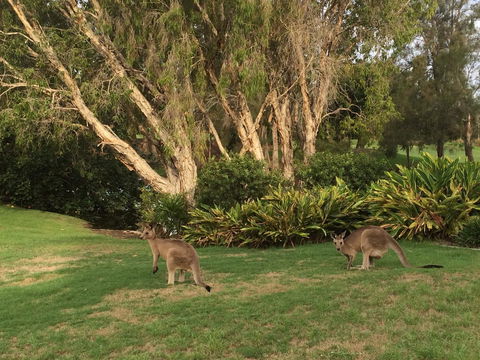 Waterfront Resort Villa With Buggy - Accommodation Australia 19