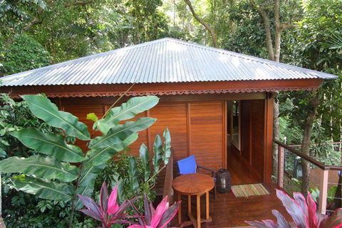 Cairns Rainforest Retreat - Accommodation Australia 5