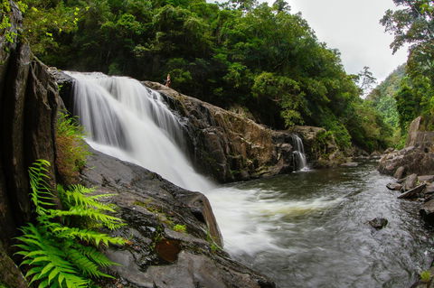 Coral Tree Inn - Accommodation Australia 40
