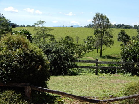 Malanda Manor Guesthouse - Local Tourism 17