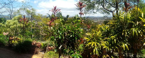 Private Guest Suite High On Currumbin Hill - Local Tourism 27