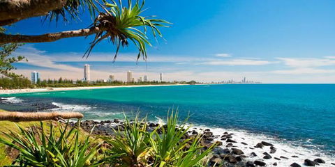 Private Guest Suite High On Currumbin Hill - Local Tourism 23