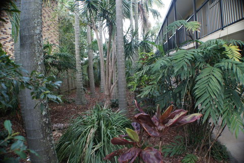 Best Western Airport 85 Motel - Accommodation Australia 34