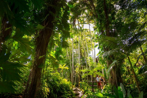 Cairns Colonial Club Resort - Accommodation Australia 22