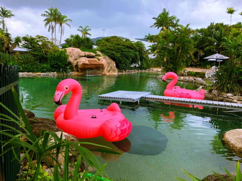 Cairns Colonial Club Resort - Accommodation Australia 6