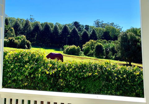Hampton Estate Wines - Australia Shopping 11