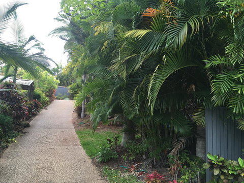 Casuarina - Australia Shopping 21