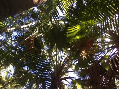 Casuarina - Australia Shopping 11