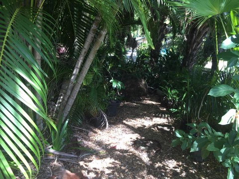 Casuarina - Australia Shopping 12