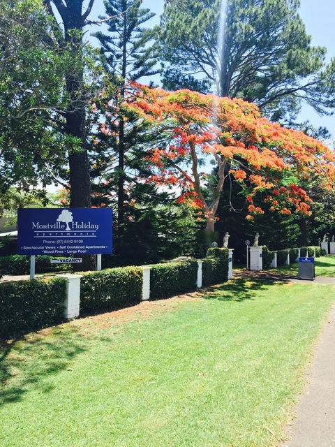 Montville Holiday Apartments - Bed n Breakfasts 22
